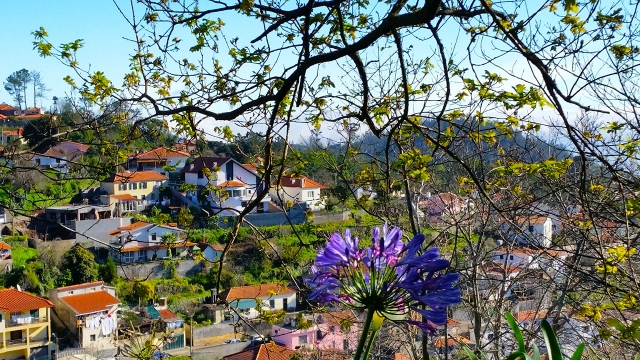 Paisajes de Madeira