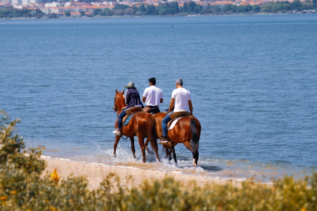 Pbaños a caballo por el mar
