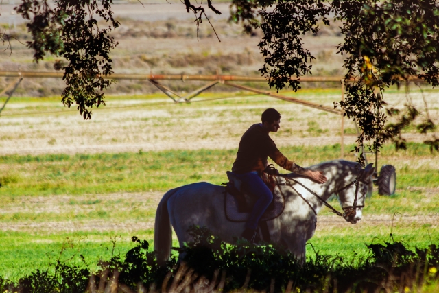 Paseo a caballo