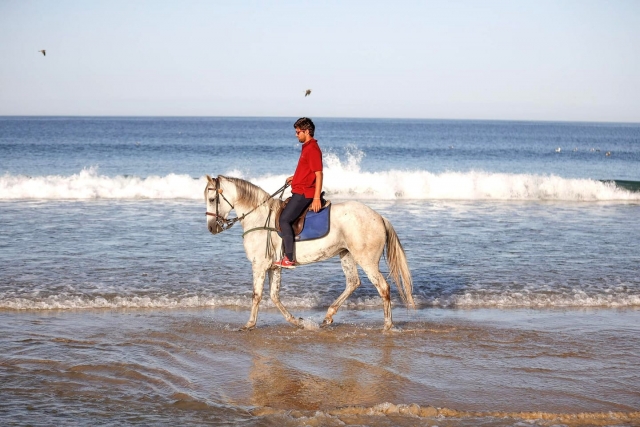 Paseo a caballo 