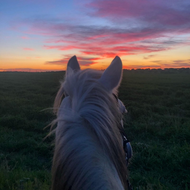 Atardecer junto a un caballo
