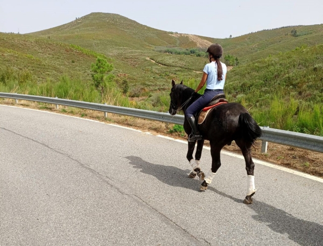 Por carretera