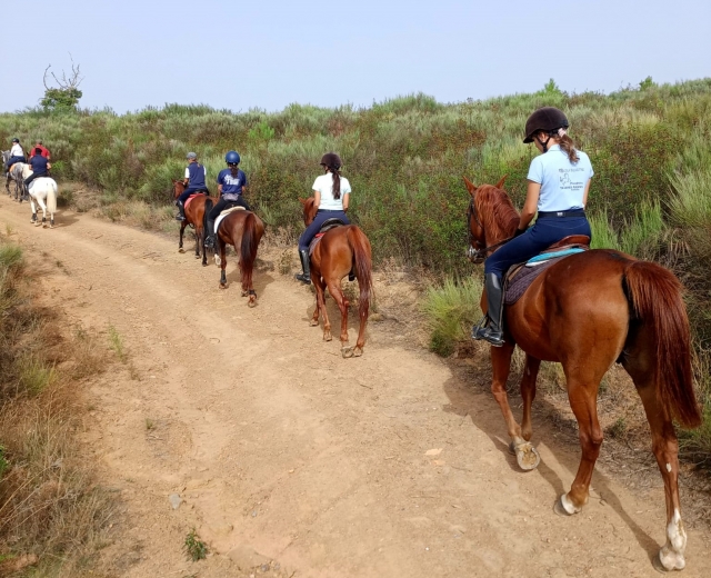Ruta ecuestre