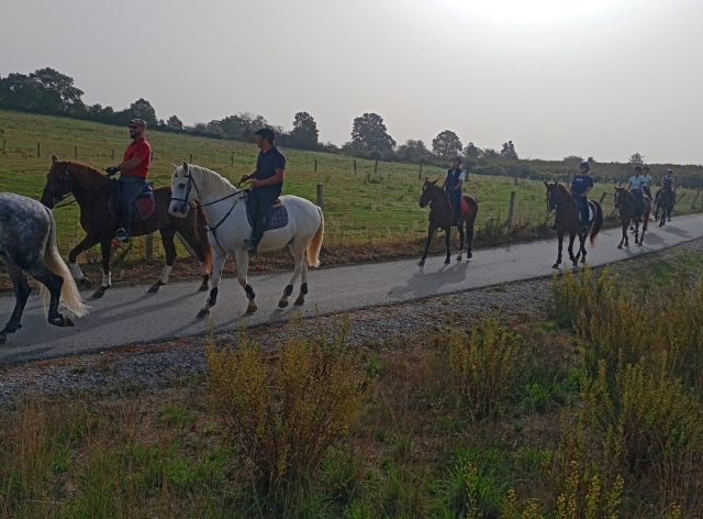 Rutas ecuestres