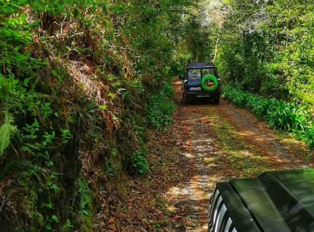 De excursion con los 4x4