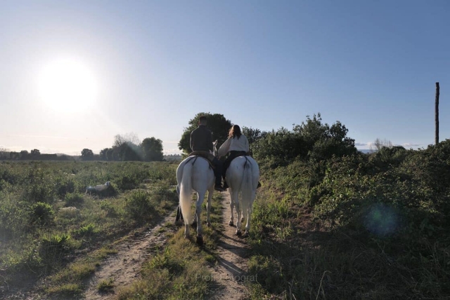 Cabalgando juntos