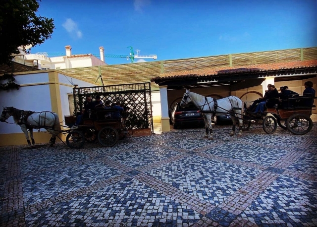 Cabalgamarra y paseo en carro