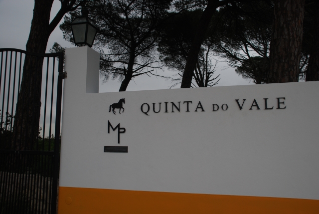Finca