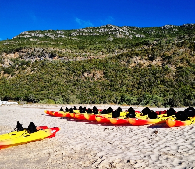 Equipos de kayaks preparafos