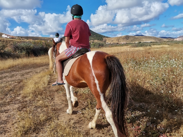 Aquí puede venir cualquier persona a subir a caballo