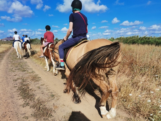 Organizamos cabalgamarra para grupos de diferentes edades y niveles