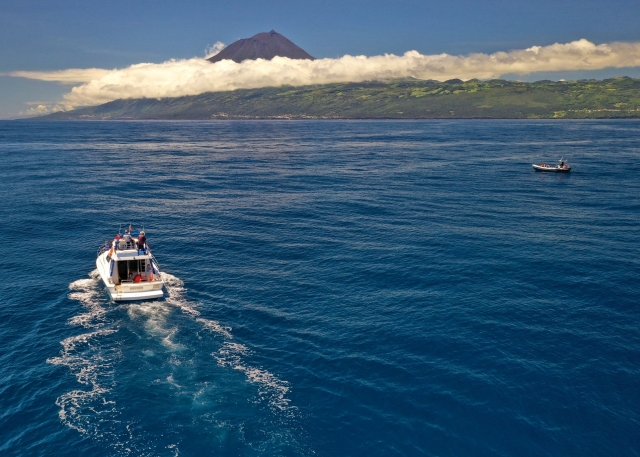Venga a pasear en barco
