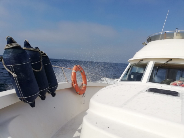 Surcando el Atlántico mientras pescamos 