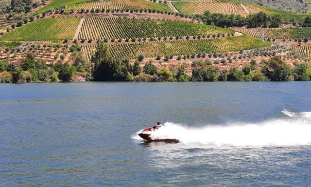 Desplazándose a toda velocidad por el agua