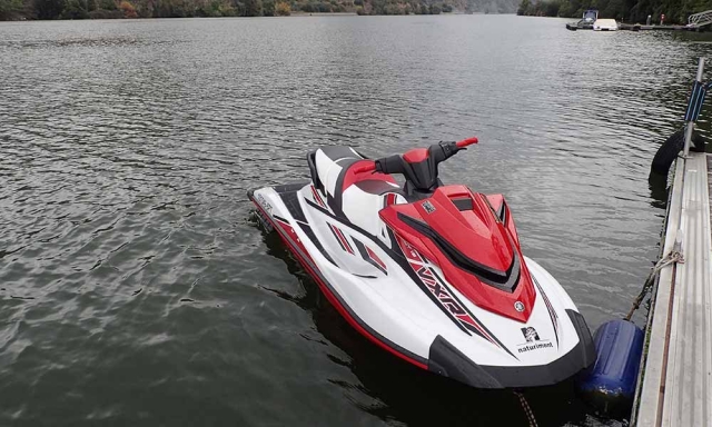Una jet ski estacionada junto a la orilla