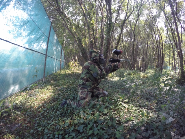 En los frondosos bosques portugueses