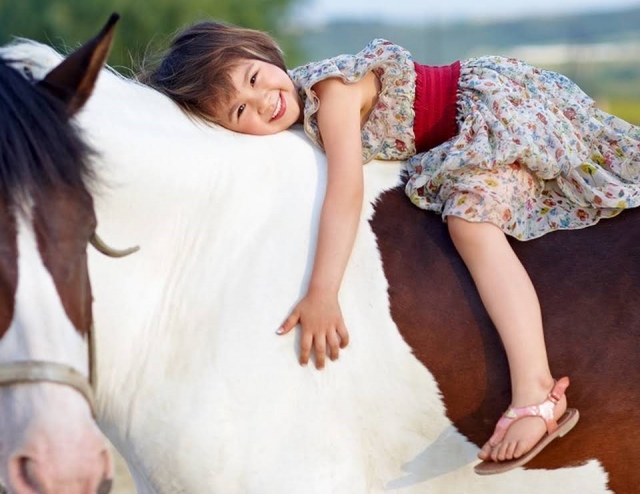 A lomos de un noble caballo