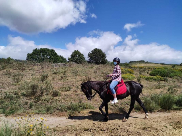 Cabalgando a lomos del caballo