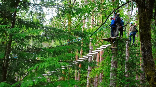 Arborismo en el Parque Nacional de Peneda Ges