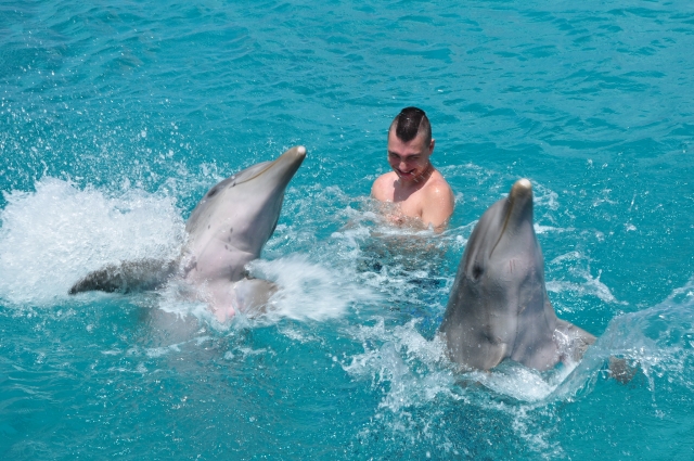 Jugando con los delfines