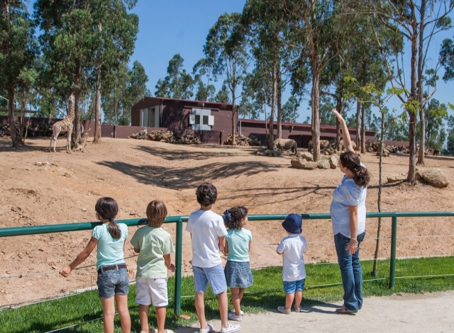 Niños en la visita al parque zoológico