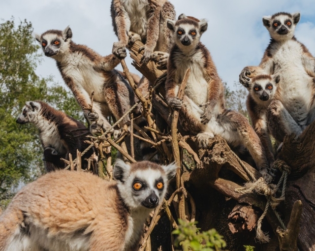 Visita el parque zoológico más grande de Oporto