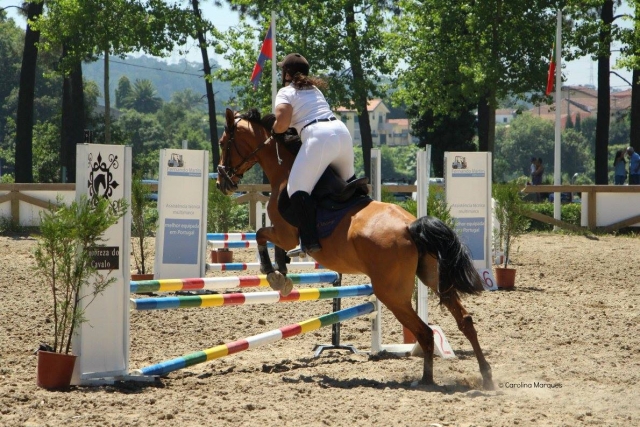 Clase de equitación y salto en Oporto