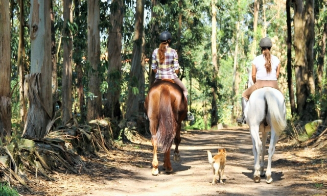 Paseo a caballo