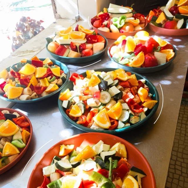 Comida para nuestros animales