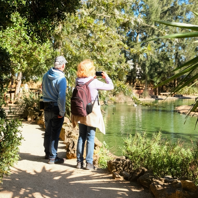 Explorando los annimales del zoo
