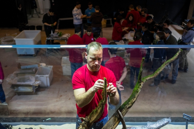 Cuidadores del oceanário trabajando
