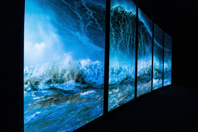 Exposición inmersiva con imágenes marinas