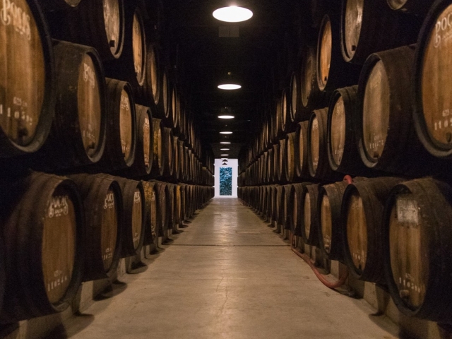 La bodega