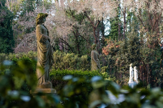 Jardines del complejo
