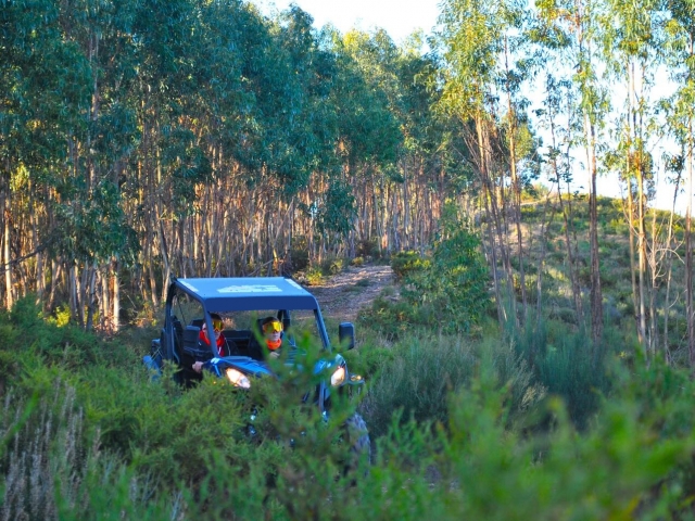 Rutas en buggy en Canelas