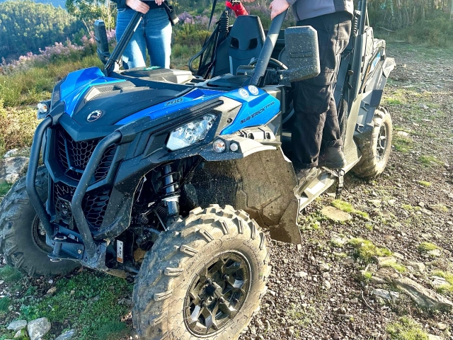 Prueba nuestros buggies