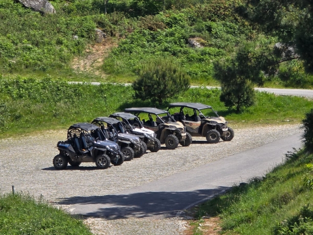 Buggies listos para la aventura