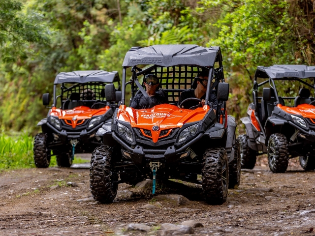  Buggies de dos salones 