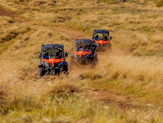  Buggies alrededor de 