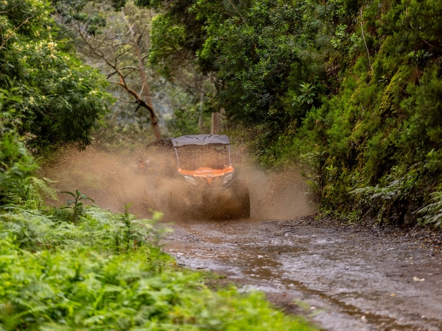  Buggy Tour 