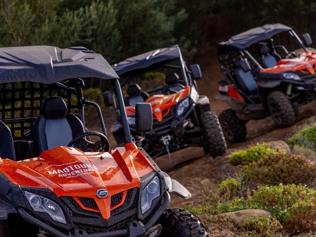  Explore Buggy 