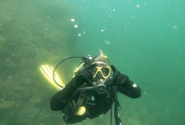Fondo marino del Archipiélago de las Berlengas