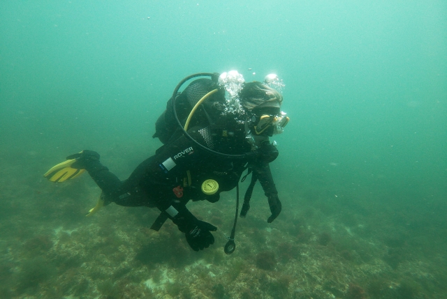 Fondo marino de el Archipielago de Berlengas