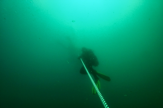 Buceando por las Islas Berlengas 