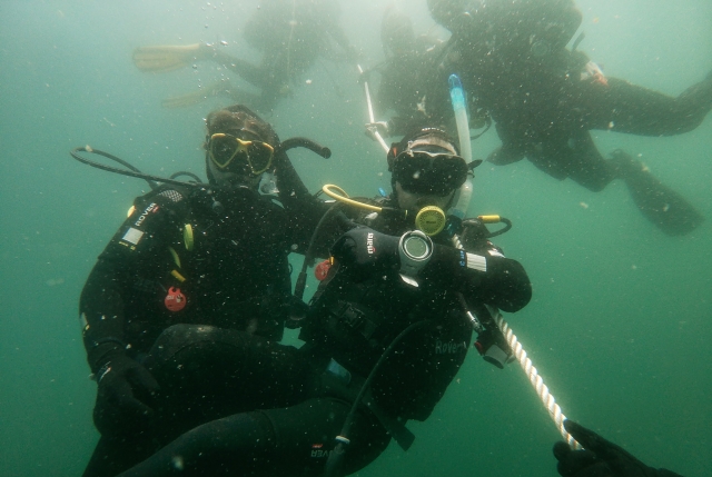 Bautismo de buceo en Archipiélago de Berlengas