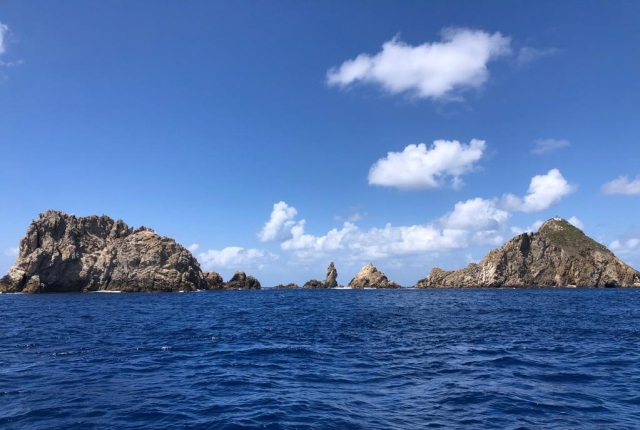 Destinos de buceo en Peniche