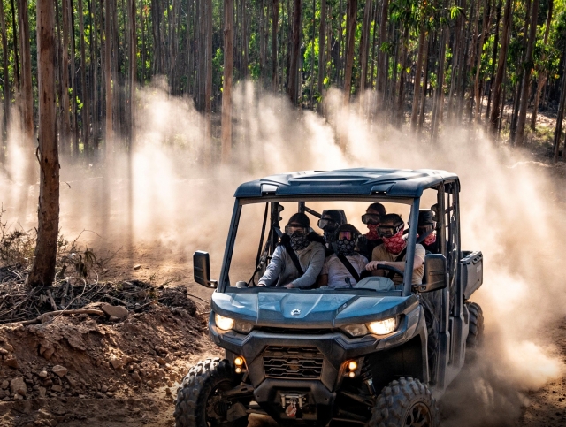 Ruta en buggy para 6 personas