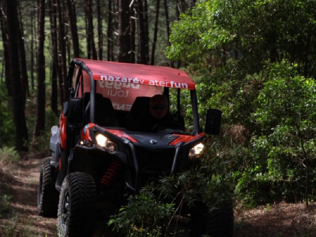 Buggy por el bosque de Nazaré