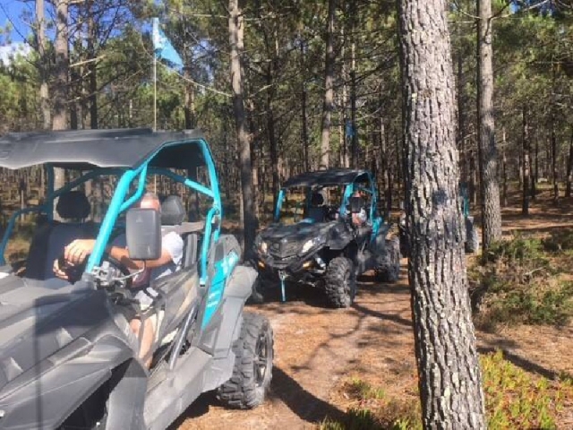 En el bosque por Nazaré en buggy
