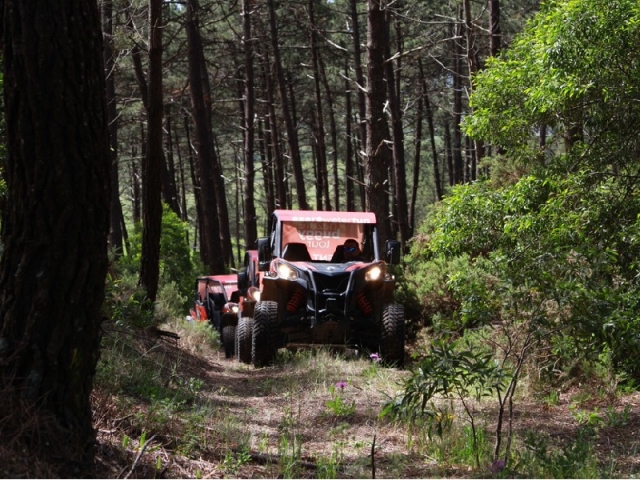 Ruta en buggy por el norle del bosque de Nazaré
